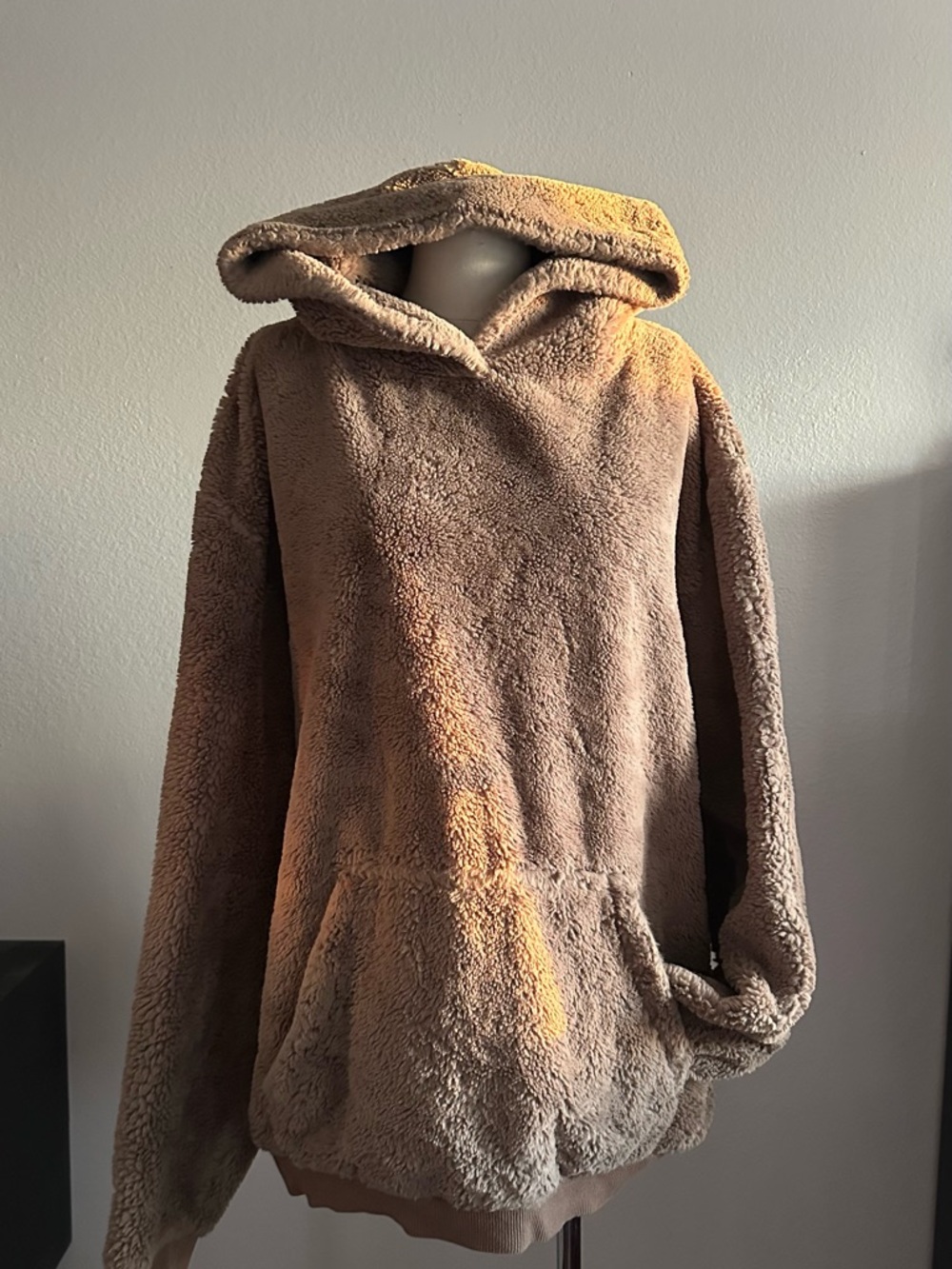 Urban Outfitters Teddy Hoodie Jacket in Light Brown